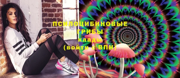 прущие крисы Абаза
