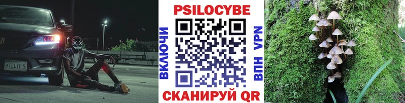 маркетплейс как зайти  купить наркотик  Кораблино  Псилоцибиновые грибы Psilocybine cubensis 